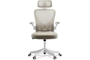 EOXCIIU Ergonomic Office Chair, Desk chair with 2D Headrest and 90° Flip-up Armrest, Executive Mesh Chair with Lumbar Support, 3-Stage Gas Lift, Height Adjustable for Home, Office, White