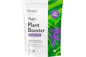 Florasoul® Engrais Plantes Vertes Intérieur Engrais Organique Vegan, Inodore, Jusqu'à 30% de Croissance et de Floraison Supplémentaire, Écologique, Durable et Efficace, Soluble dans l'Eau 500g/ 350l