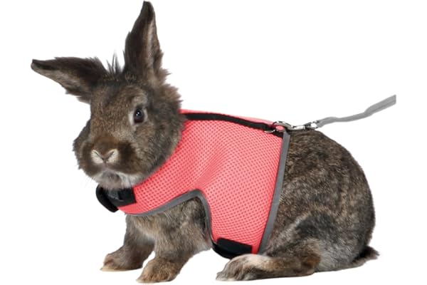 TRIXIE Harnais souple avec laisse - laisse entièrement élastique de 1,20 m - tour de ventre 25 - 40 cm - réglable en continu - avec velcro - diverses couleurs - choix aléatoire - 61514