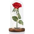 Rosa Eterna De Seda Con Luz LED MOOKLIN ROAM - Cúpula De Cristal Y Base De Madera, Regalo San Valentín, Madre