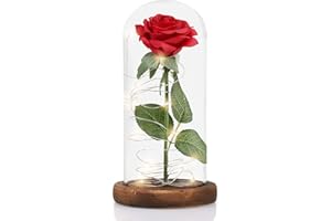 MOOKLIN ROAM Rosa Eterna, Bella e la Bestia Rose e Lampada a LED con Cupola in Vetro e Base in Legno, Sorpresa Regalo per Valentine's Day et Anniversario di Matrimonio, Perfetti Decorazione