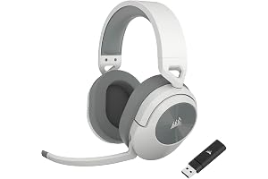 HS55 WIRELESS