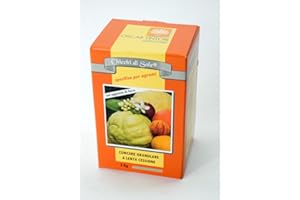 RAINBEAM Oscar Tintori Chicchi di Sole 2 kg Zitrusdünger Langzeitdünger speziell für Zitruspflanzen Granulat Mineralischer Dünger