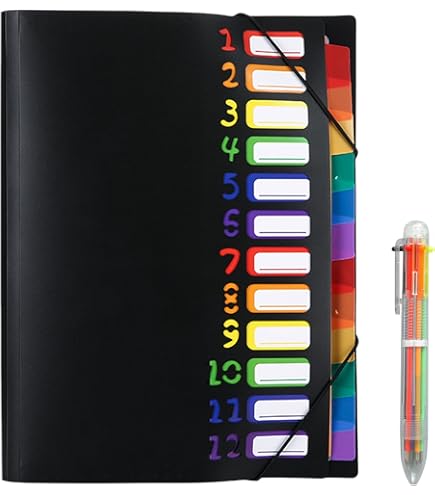 Carpeta Clasificadora Escolar Niño Maletin Plastico Escolar