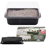 Fallen Fruits B1009 Mushroom Grow Set