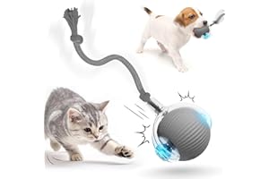 NEOVSUNY Jouet interactif pour Chat, Balle électrique Automatique, Jouet pour Chien, Jouet Intelligent pour Chat, Jouets pour Chat À Balle Mobile pour L'intérieur avec Chargement USB pour Chiens et Chats