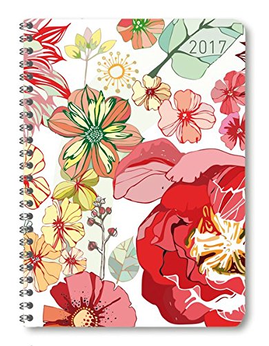 Alpha Edition Ladytimer 170796 Agenda per Anno 2017 Spiralata