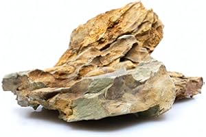 WabiFlur - Dragon Stone Rocas Naturales para Acuario y Nano Garden - Mezcla Irregular para diseño Salvaje y Natural, Paquete de 500/700 g