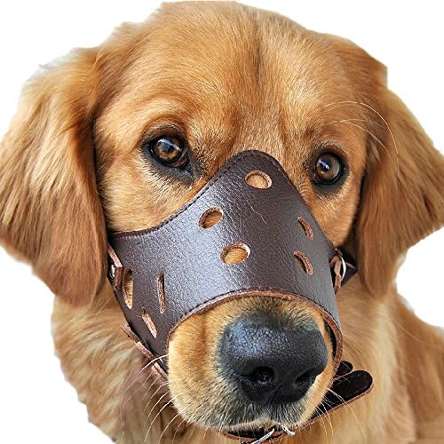 Adjustable Leather Bite Bark Control Dog Muzzle Brown