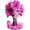 IDELLA Sakura Magic Trees - Japanese Tree with Cherry Blossom - Japanese Miniature Tree Kit - Flower Decoration - Gift Idea for Japanese Lovers