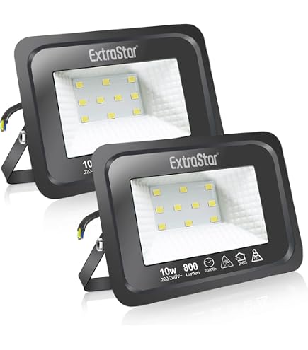 loyal 10 Pezzi 20W Faretto LED da Esterno 2000LM Super Luminosa Bianco Freddo 6000K Fari LED Lampada, Impermeabile IP65 Proiettore Faro, Luce di Sicurezza per Giardino Corridoio Piazza Cortile Garage