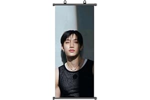 BESOISER Stray Kids - Poster Stray Kids Bang Chan Rollbild StrayKids, articolo per fan di StrayKids Bang Chan Scroll poster, decorazione di compleanno, tessuto per decorazione da parete, 70 x 30 cm