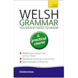 Welsh Grammar You Really Need to Know: Teach Yourself