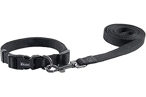 Olahibi Basic Dog Collar and Leash Combo Set, Durable Nylon Collar and 150CM Matching Leash for Small Dogs.(S, Black Set)