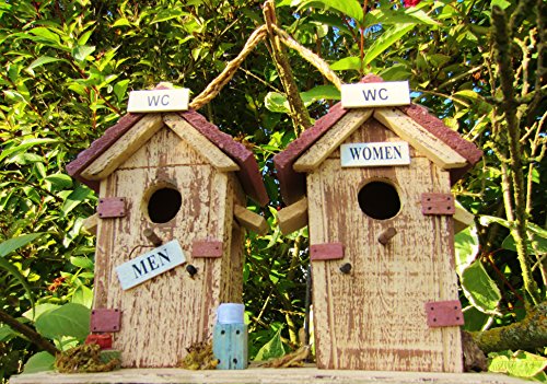 Hüwüknü Vogelhaus, WC, Donnerbalken - 2