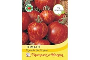 Thompson & Morgan - Vegetables - Tomato Tigerella (Mr Stripey) - 30 Seed