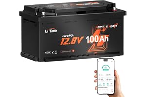 LiTime 12V 100Ah H190 DIN H8 L5 LiFePO4-Batteri med Bluetooth för Husbil