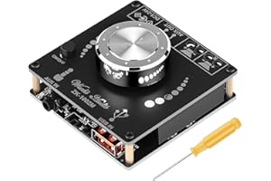 KOLRID Bluetooth Verstärker Board HiFi Stereo 2.0 Kanal 2X100W Audioverstärker Digital Power Amplifier mit AUX/USB/Bluetooth/Flash Drive/PC USB Eingang
