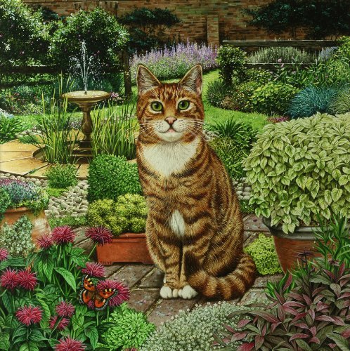 The Squire, the Tabby Cat in the Garden, Greeting Card by Geoff Tristram, Greetings Card Size Approx. 140 x 140mm by OFA Greeting Cards