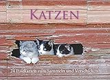 Postkartenbuch Katzen by 