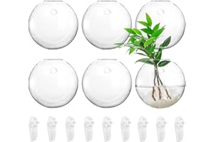 yarlung Set of 6 Wall Hanging Planters Terrarium, 4.7 Inch/11cm Glass Oblate Globe Plants Containers Wall Mount Clear Flower Vase for Propagating Hydroponics Plants, Air Plants (Plants Not Included)