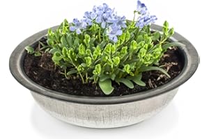 MATCHES21 HOME & HOBBY Round Zinc Tub as Flower Bowl Metal Bowl for Outdoor Use – Large 35 cm Metal Tub as Garden Decorative Planter – Zinc Bowl as Solar Fountain Metal Bowl or Outdoor Plant Bowl