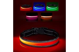 BTKVISEQAT Leuchthalsband Hund, Wasserdicht Hundehalsband Leuchtend, USB Leuchthalsband Hund Aufladbar Längenverstellbarer mit DREI Beleuchtungsmodi LED Hunde Leuchthalsband, Hund Sicherheit Leuchtet für Nacht