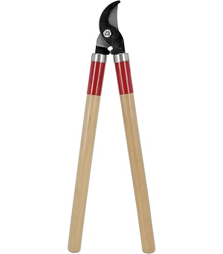 Écarteur De Branche Réutilisable, Outils De Ferme, Fixateur De Branches Pour Arbres Uitiers, Support D'arbre Uitier De Bain, Entraîneur De Tiges De Plantes