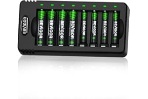 BEVIGOR 8 Slot AA AAA Battery Charger with 4 Pcs AA 2800mAh & 4 Pcs AAA 1100mAh NI-MH Rechargeable Batteries, Individual Battery Charger with Type C Input 5V 2A Fast Charging Function