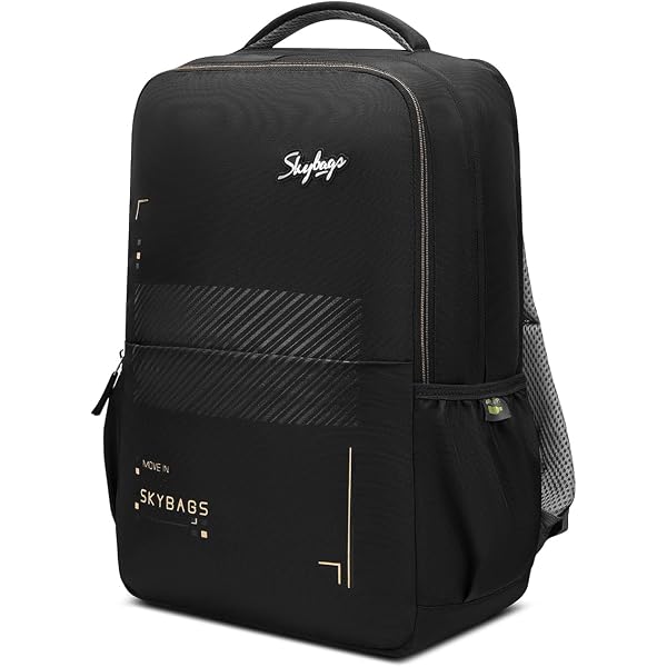 backpack louis vuitton Louis Vuitton | Canvas Palm Springs Backpack