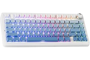 EPOMAKER x Aula F75 Clavier Mécanique Gasket à 75%, sans Fil/Bluetooth/USB-C, avec Cinq Couches de Coussinets, Bouton, RVB, Batterie, NKRO (Blue Gradient, Reaper Switch)