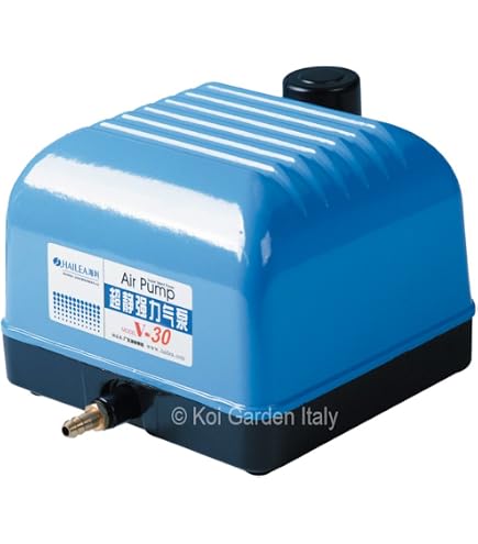 Pompa Ad Aria Compressa A Doppia Membrana Boxer 100 - Corpo In PVDF 60 L Min 8 Bar  2514ib100000 28070