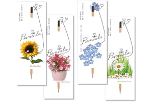 GENERICO VALUE PACK 4 PEZZI: semi piantabili + matite + cartoncini (semi FIORI MISTI- 4 pezzi)