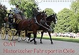 CIAT - Historischer Fahrsport in Celle (Wandkalender 2017 DIN A4 quer): Historischer Fahrsport vor einer imposanten Kulisse (Monatskalender, 14 Seiten ) (CALVENDO Sport)