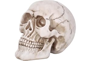 Vinsani® Life Size Replica Realistic Human Skull Bone Model for Gothic Halloween Party Decoration Accessories Props Ornament Skeleton Anatomical Medical Teaching