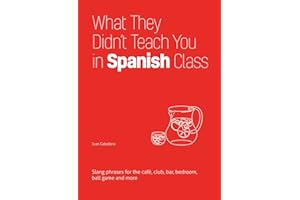 What They Didn't Teach You in Spanish Class: Slang Phrases for the Cafe, Club, Bar, Bedroom, Ball Game and More (Slang Language Books)