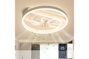 Sky angle Led Deckenventilator mit Beleuchtung, Leise Dimmbar Deckenleuchte mit Ventilator Lampe Decke, Leise Deckenventilatoren mit Leuchte und Timer Fernbedienung