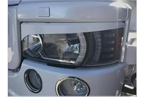 ARDILLION Coppia di 2 coperture per fanali in plastica ABS, compatibili con Scania R 2010-2016