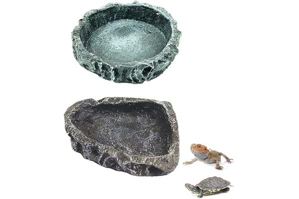 Lot de 2 Bol Nourriture et Eau pour Reptiles en Résine - Plat Alimentation Amphibiens, Gecko, Serpent, Lézard