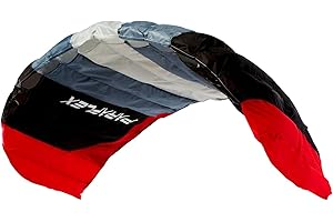 Wolkenstürmer Paraflex Basic 2.1 SE Steering Mat - Cerf-Volant à 2 Lignes pour débutants et Enfants à partir de 10 Ans - Aile de Traction