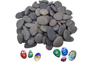 EIOURVY 25 pietre piatte per dipingere, grandi ciottoli lisci per vernici colorate, pietre decorative per vasche e acquari