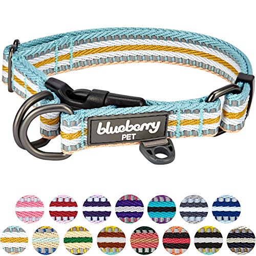 Blueberry Pet 2,5cm L 3M Reflektierendes Bunt Gestreiftes Pastellblau und Beige Hundehalsband für Große Hunde