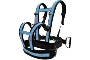 BANNESE Harnais De Sécurité Moto Enfant, Ceinture Moto Passager avec Hauteur Et Tour De Taille Réglables, Conception À Double Poignée, Conception À Bande Réfléchissante,Light Blue