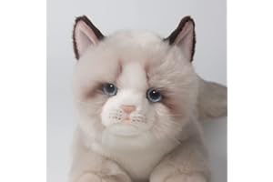 CU-MATE Graue Ragdoll-Katze, Stofftier, Puppen, niedliches handgefertigtes Plüschtier, Ann Baker, Katze, Geburtstagsgeschenk für Jungen und Mädchen