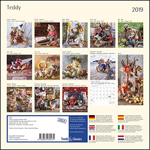 Book's Cover of Teddy 2019 Trends & Classics Kalender