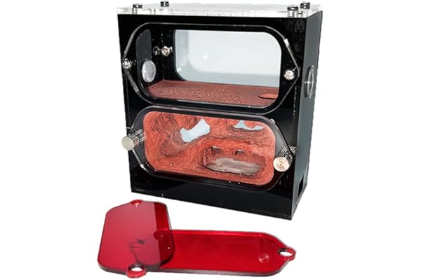 GGFLY Ferme de Fourmis Acrylique avec château d'eau hydratant nid de Fourmis en béton Fourmi élevage Insectes Maison fourmilière Atelier Accessoires