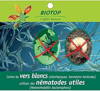 Biotop Nématodes Hb anti vers blancs anti Otiorhynque - 25 millions