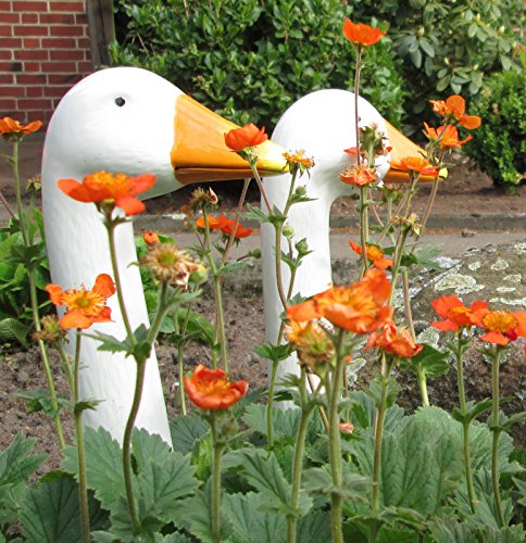 2 Stück Gartenfigur Gänsehals 1841 GERTRUD aus Keramik weiß sehr wetterbeständig ca. 35 cm hoch - 2