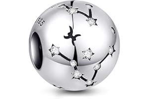 NINGAN Breloque en argent sterling 925 pour anniversaire 12 signes du zodiaque - Cadeau d'anniversaire idéal pour les femmes et les amis