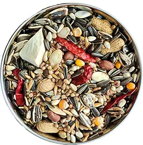 Pets Premium Seed Mix of 12 Grains & Nuts, Added with Spirulina & Cuttlefish Bone, Bird Food for Medium Parrots, African Grey, Eclectus, 2000 g